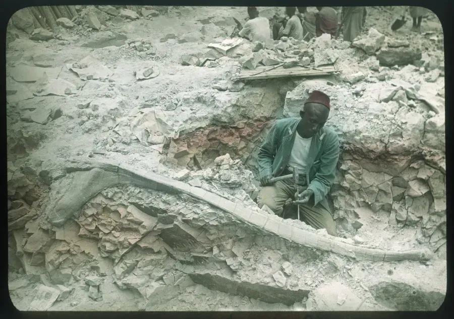 Boheti bin Amrani