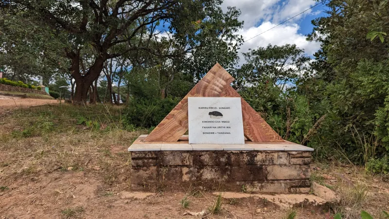 Mbozi Meteorite photo 3