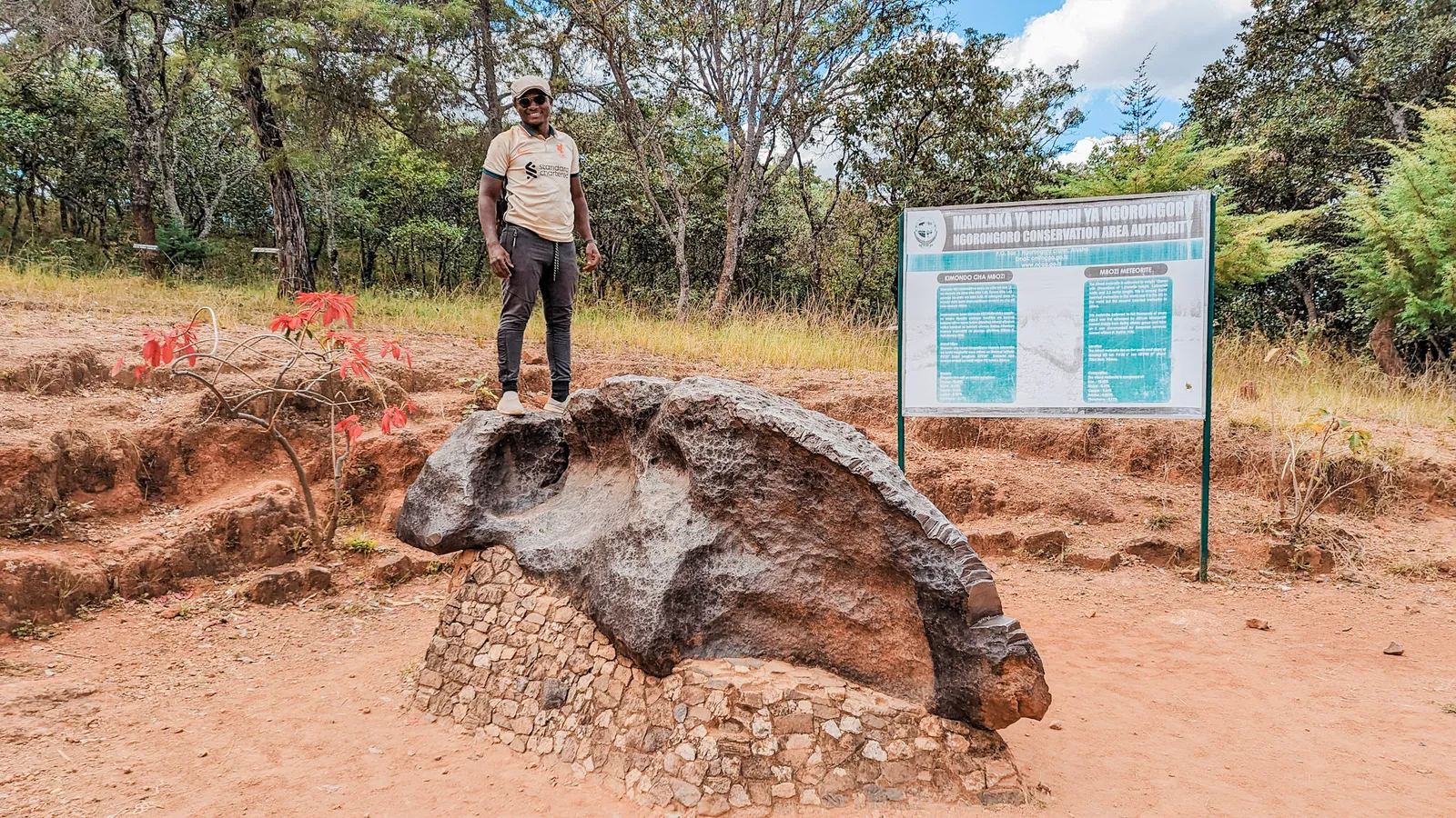 Mbozi Meteorite