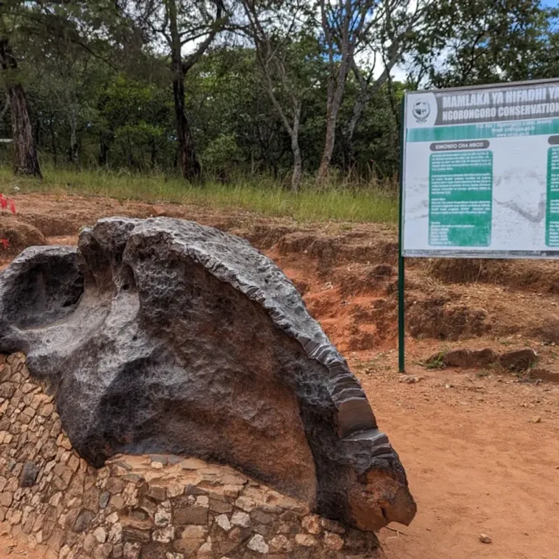 Mbozi Meteorite photo 1