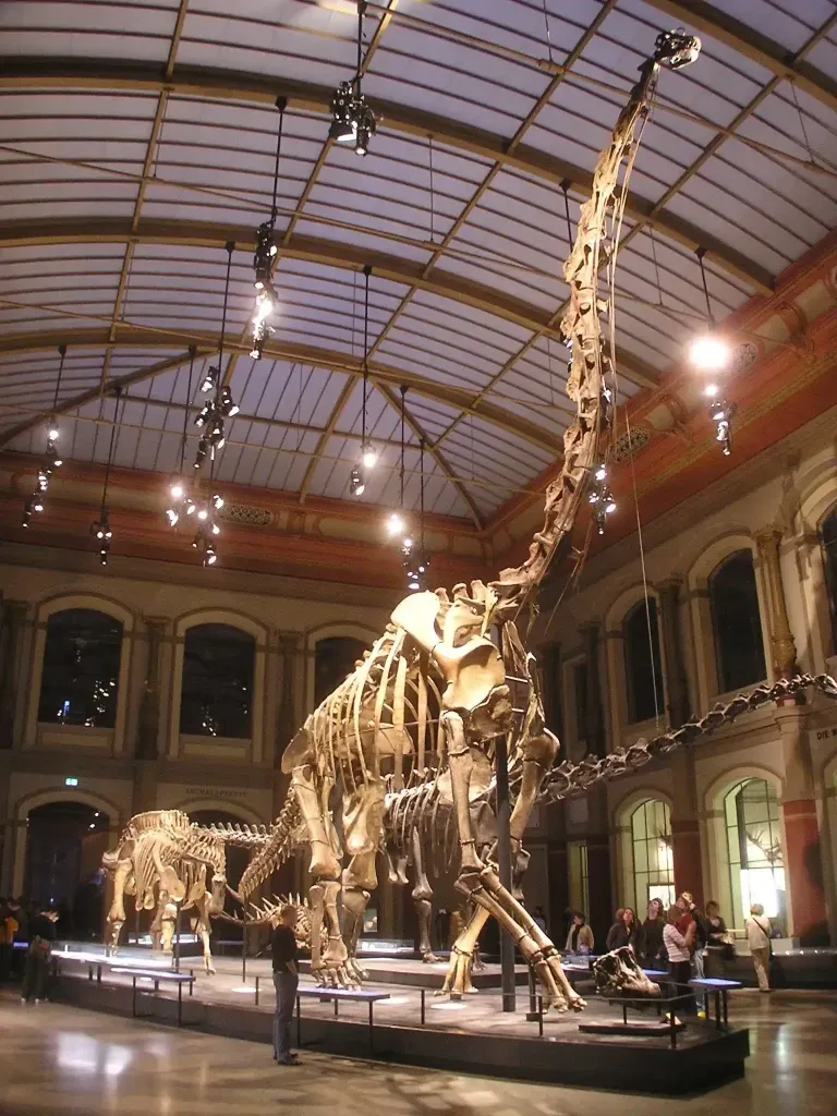 Berlin dinosaur